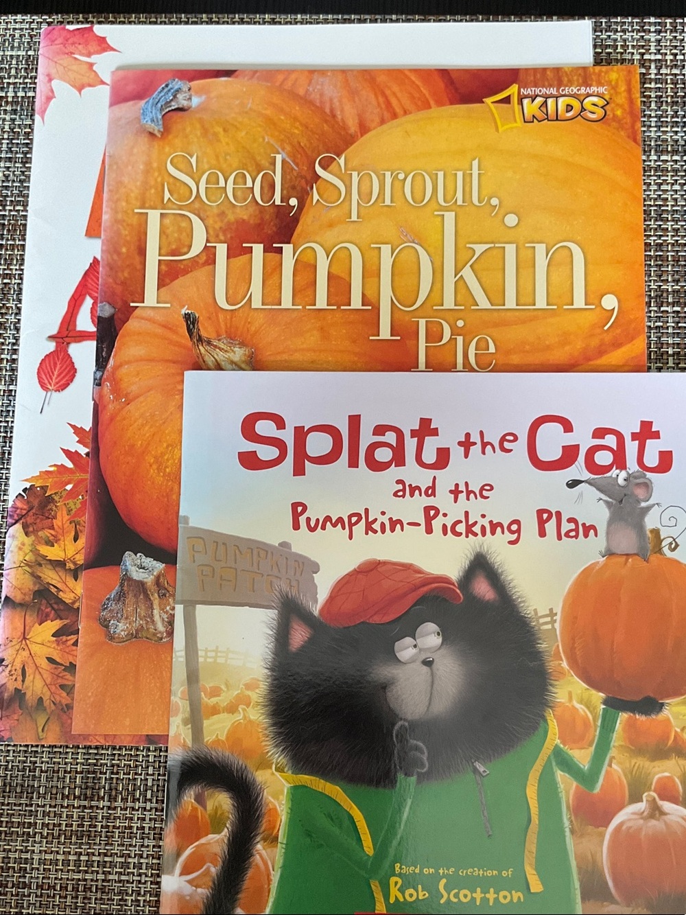 3 Autumn learning books, NWT